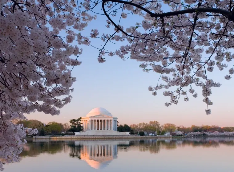 The Jefferson Memorial across the Tidal Basin, framed by cherry blossom.